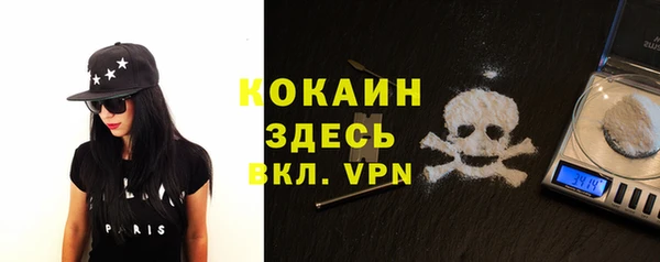 гидра Волоколамск