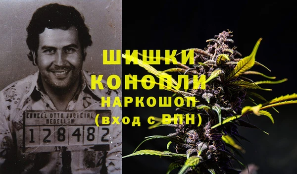 гидра Волоколамск