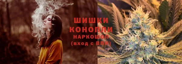 гидра Волоколамск