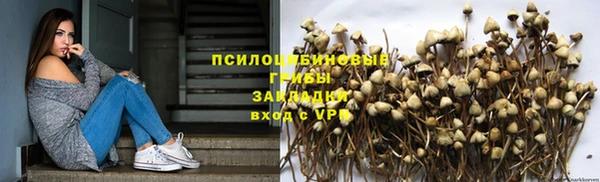 гидра Волоколамск