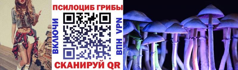 дарк нет официальный сайт  Южно-Сахалинск  Галлюциногенные грибы Psilocybine cubensis 