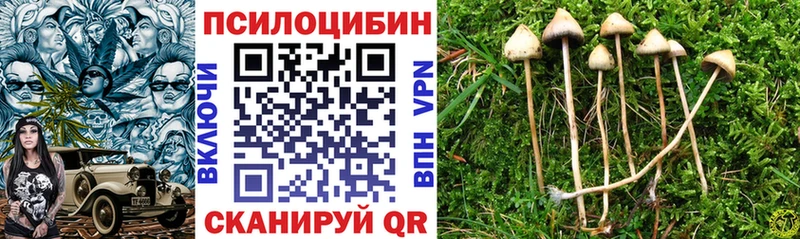 Псилоцибиновые грибы Cubensis Южно-Сахалинск